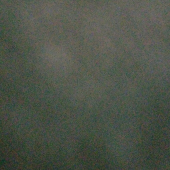 Meet your Posher, Jake - Picture 1 of 1